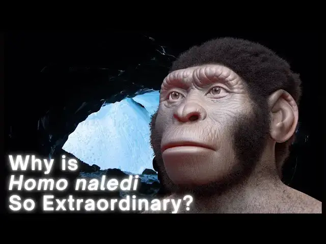 'Video thumbnail for What Makes Homo naledi So Extraordinary?'