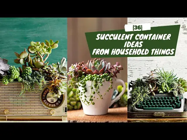 'Video thumbnail for 36 {Free} Succulent Container Ideas and Projects from Household Things'