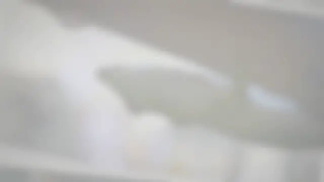 'Video thumbnail for How to catch a gecko inside the house'