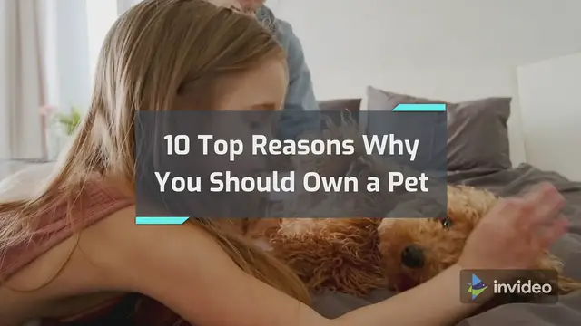 'Video thumbnail for 10 Top Reasons Why You Should Own a Pet'