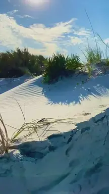'Video thumbnail for New Smyrna Beach Dunes'