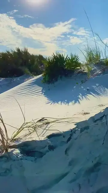 'Video thumbnail for New Smyrna Beach Dunes'