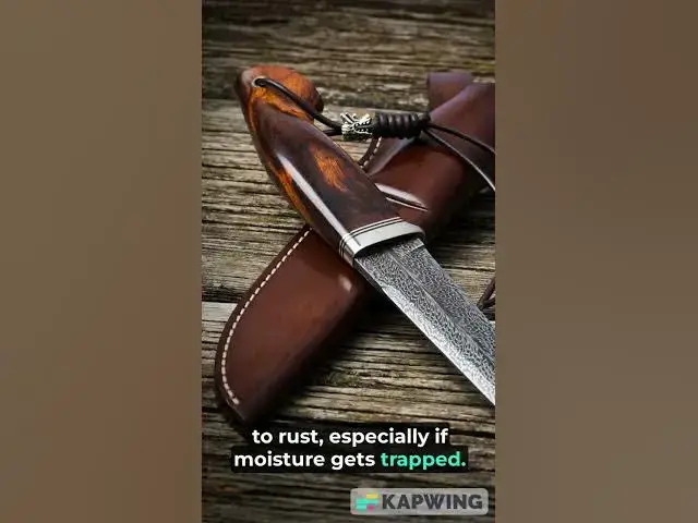 'Video thumbnail for 6 Reasons Leather Knife Sheath Rust Knives'
