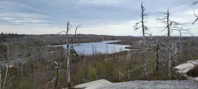 'Video thumbnail for Flat Lake - McIntosh Run Singletrack Trails in Halifax, NS'