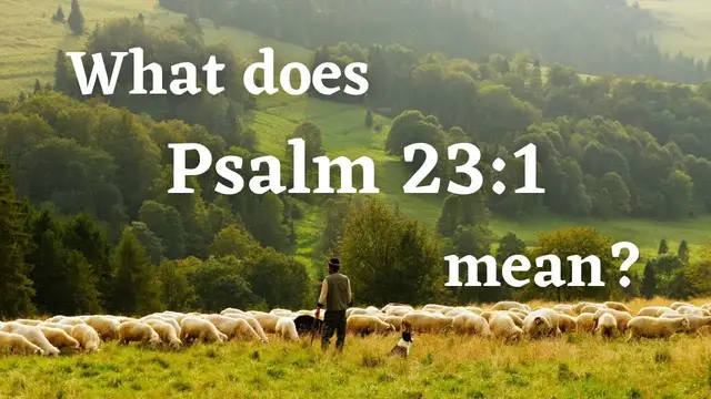'Video thumbnail for What does it mean for God to be your Shepherd?'
