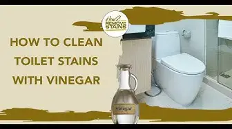 'Video thumbnail for How to clean toilet stains with vinegar'