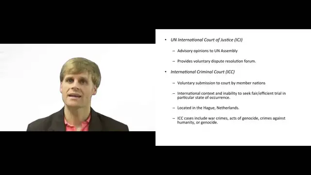 'Video thumbnail for What are international law courts and their function?'