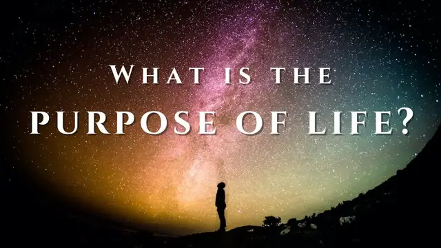 'Video thumbnail for What is the purpose of life according to the Bible?'