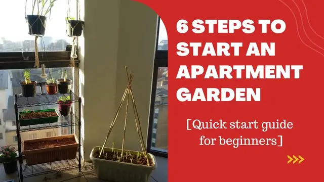 'Video thumbnail for 6 steps to start an apartment garden [Quick start guide for beginners]'