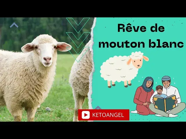 'Video thumbnail for Rêver de Mouton Blanc en Islam: Video'