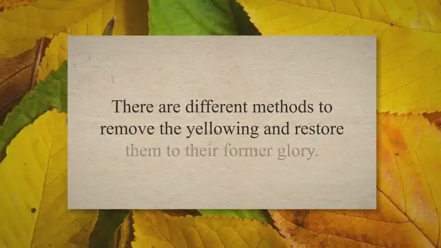 'Video thumbnail for How To Remove Yellowing From Plastic Toys? Top Remedies'