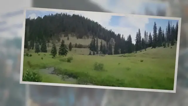 'Video thumbnail for Arizona White Mountains'