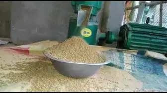 'Video thumbnail for ব্রয়লার মুরগির ফিড নিজেই তৈরি করছেন মাগুরার রাগিব ভাই'