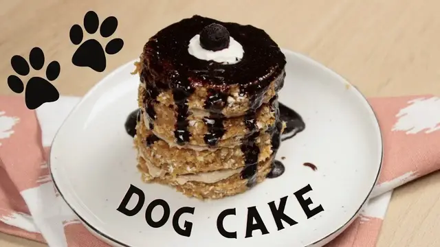 'Video thumbnail for Your Dog Will LOVE This No Bake Cake'