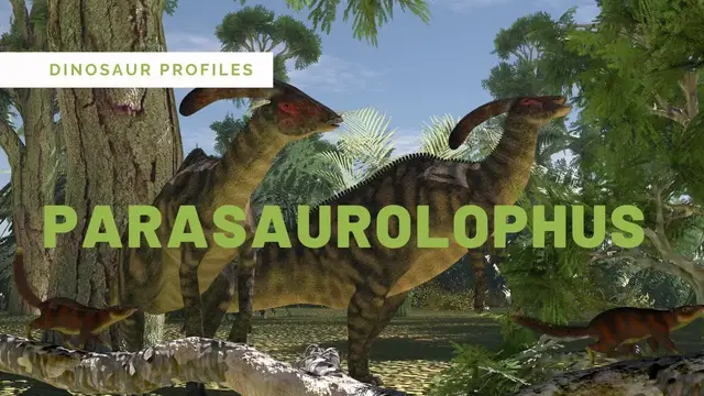 'Video thumbnail for Parasaurolophus walkeri | What did Parasaurolophus SOUND like?'