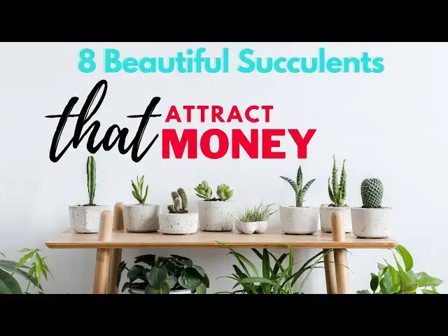 'Video thumbnail for 8 Beautiful Succulents that Attract Money'