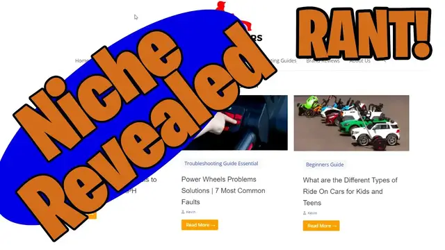 'Video thumbnail for Main Niche Site Threatened By Email! How Do I Survive?'