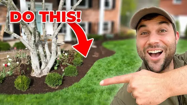 'Video thumbnail for STOP Letting Your Lawn DOWN! [DO THIS]'