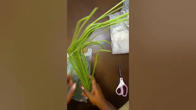 'Video thumbnail for Shein Home Decor (Cheap Artificial Plant For Your Patio)'