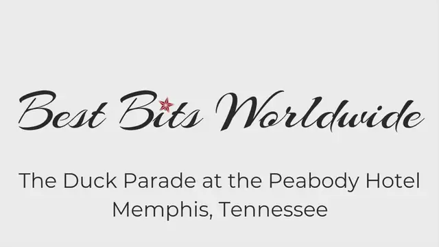 'Video thumbnail for Watching the Duck Parade at the Peabody Hotel! '