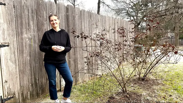 'Video thumbnail for How to Prune Summer-Bearing Blackberries'
