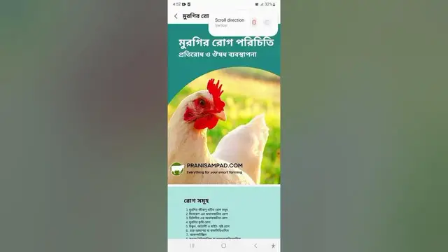 'Video thumbnail for Murgi palon boi| মুরগির রোগ ও চিকিৎসা পদ্ধতি বাংলা বই। pdf ইবুক।'