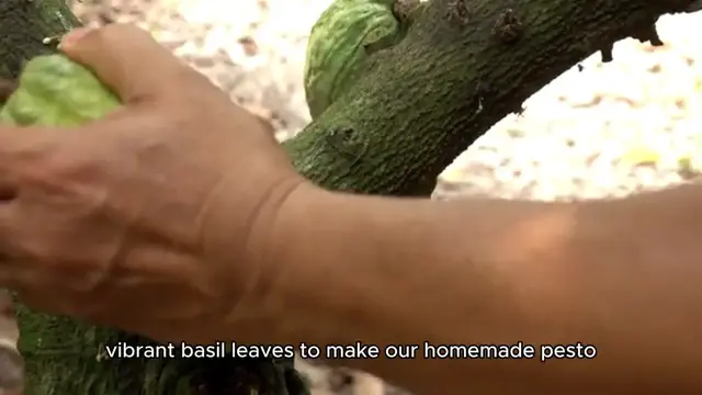 'Video thumbnail for Pesto Shrimp Pasta'