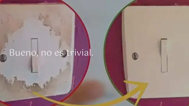 'Video thumbnail for 4 trucos de magia para que tus plantas florezcan todo el año:'