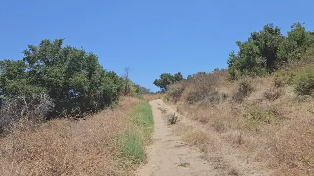 'Video thumbnail for Deer Canyon Park: An Adventure through Anaheim’s Untamed Trail'
