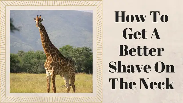 'Video thumbnail for How To Shave The Neck'
