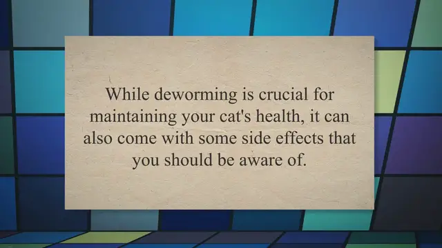 'Video thumbnail for Managing the Side Effects of Deworming Cats: A Guide for Pet Owners'