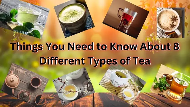 'Video thumbnail for Things You Need to Know About 8 Different Types of Tea || Pro Food Recipes'