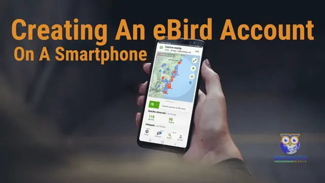 'Video thumbnail for Creating A Cornell Lab Account To Use eBird On An Android Phone - Birdwatch World'