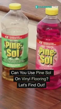 'Video thumbnail for CanYouUsePineSolonVi'