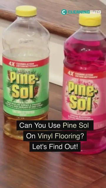 'Video thumbnail for CanYouUsePineSolonVi'