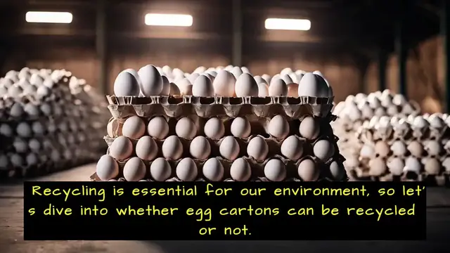 'Video thumbnail for Are Egg Cartons Recyclable'
