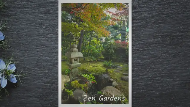 'Video thumbnail for Serenity of Zen Gardens'