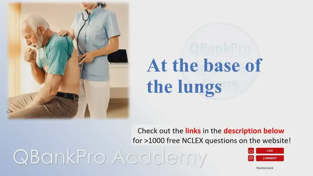 'Video thumbnail for Lungs, Respiratory Disorders'