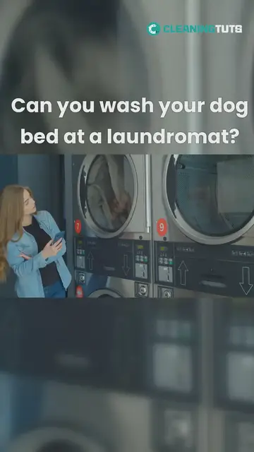 'Video thumbnail for CanYouWashYourDogBed'