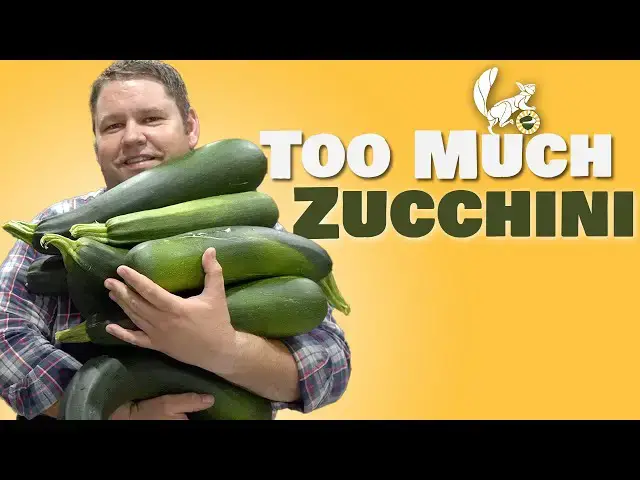 'Video thumbnail for What to do with TONS of ZUCCHINI!'