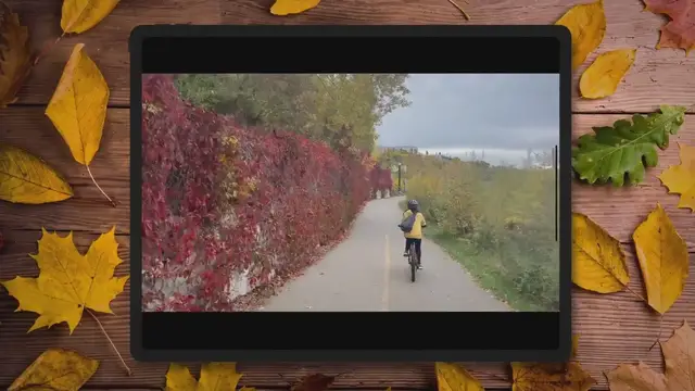 'Video thumbnail for Cheapest Bikepacking Bags'