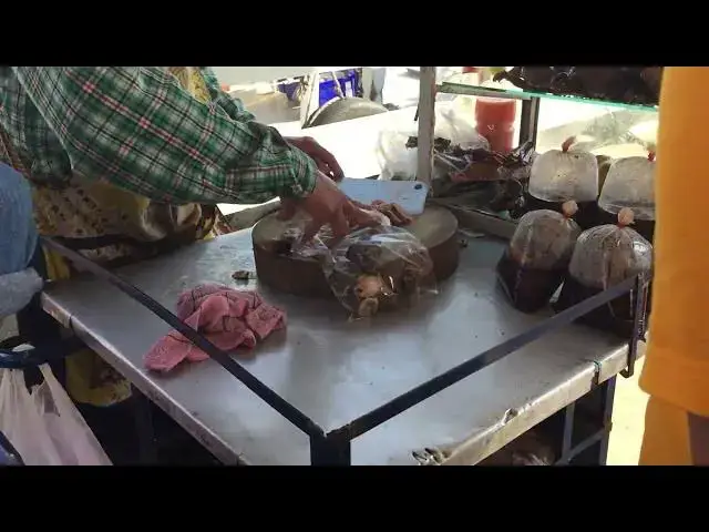 'Video thumbnail for Quick Snack in Thailand: Stew Chicken in a Bag'