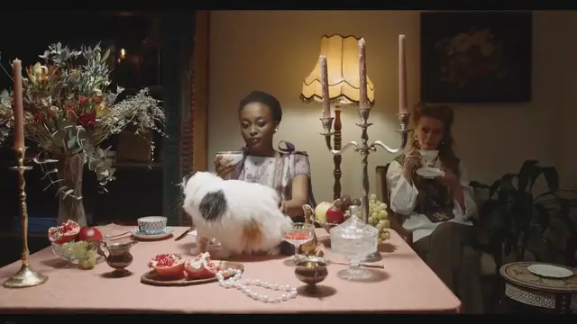 'Video thumbnail for Balinese vs. Ragdoll Cat: A Comprehensive Comparison'