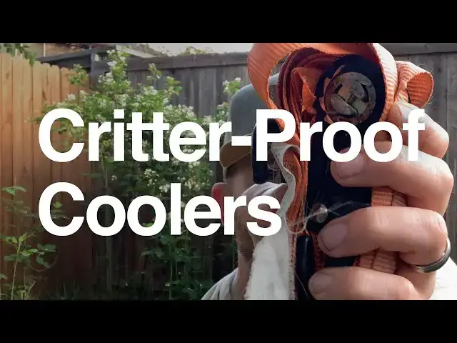 'Video thumbnail for 3 Ways to Critter-Proof Your Cooler'