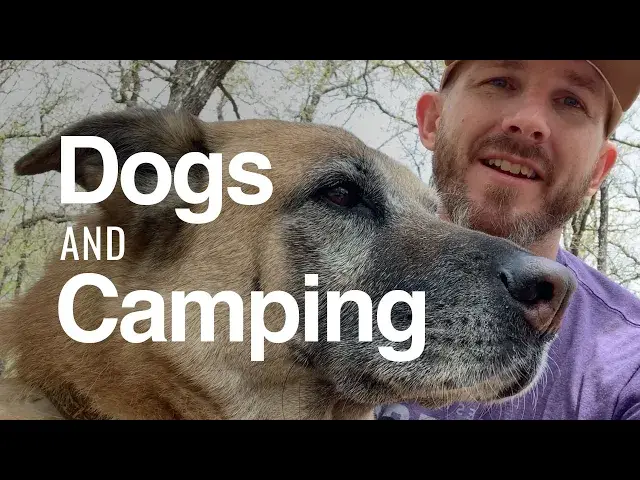 'Video thumbnail for Is Camping With A Dog Worth The Trip?'
