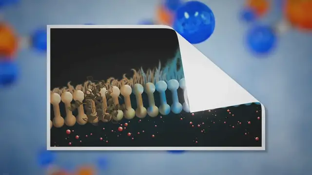 'Video thumbnail for Immunity in Disguise: The Sneaky Symphony of Temperate Phages Helping Bacteria Thrive Amid Infections'