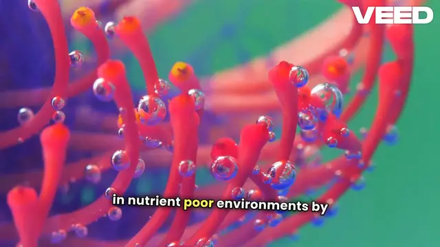 'Video thumbnail for Nature's Weirdest Carnivorous Plants'
