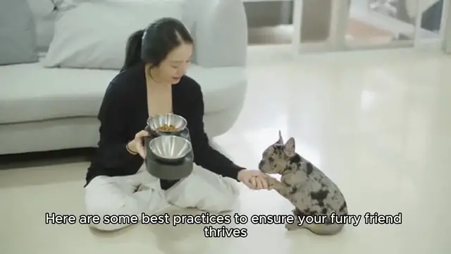 'Video thumbnail for Best Tips for Pet Care and Training'