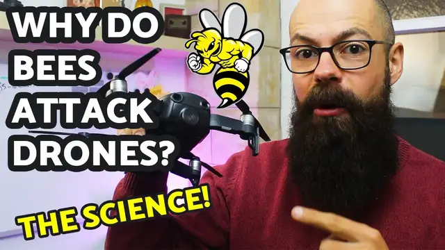 'Video thumbnail for Why do bees attack drones? [Science and cleaning tips]'