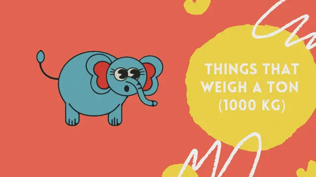 'Video thumbnail for Things That Weigh One Ton '